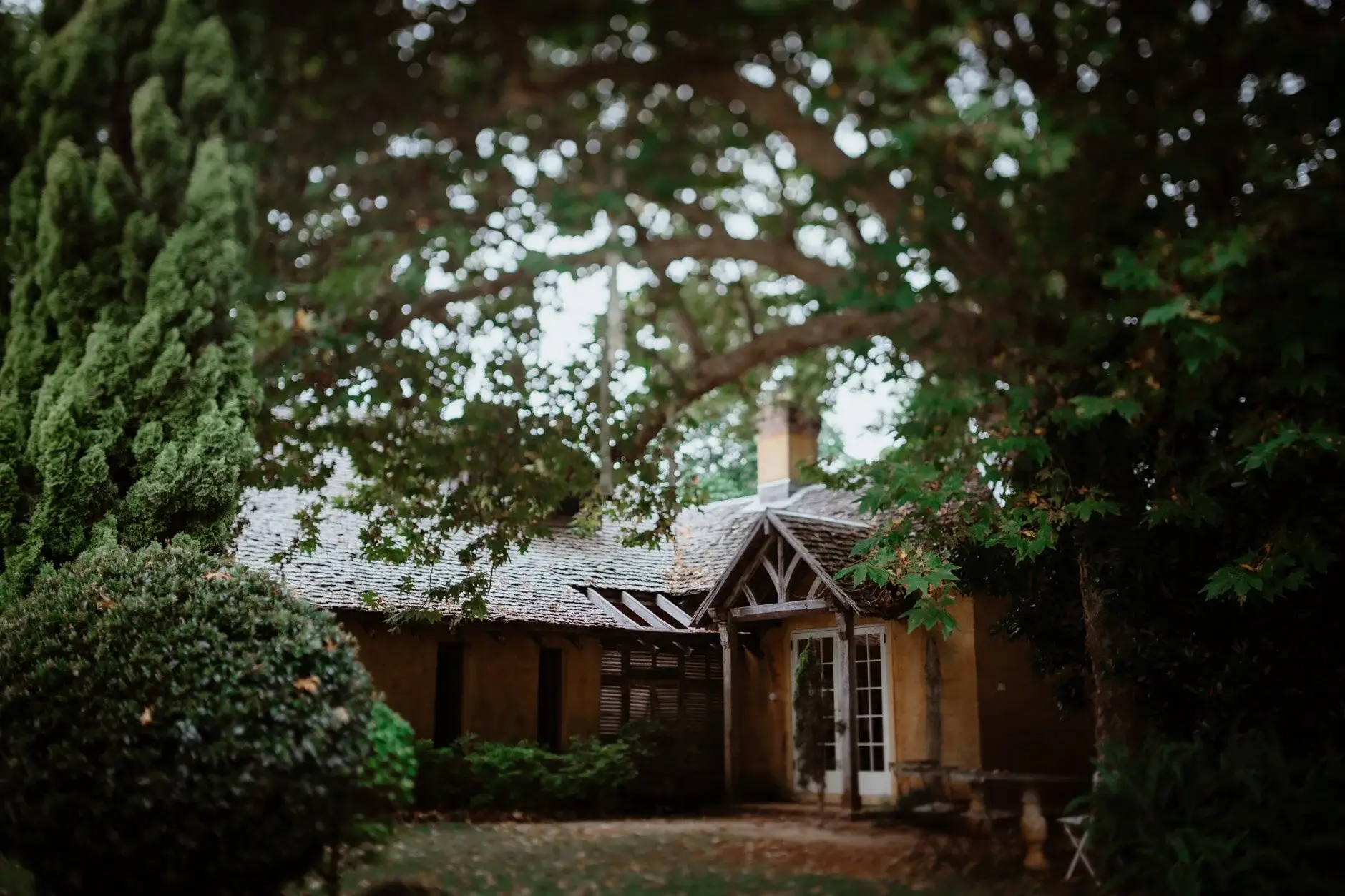The stone-and-timber French farmhouse under its old shade tree at Deux Belettes