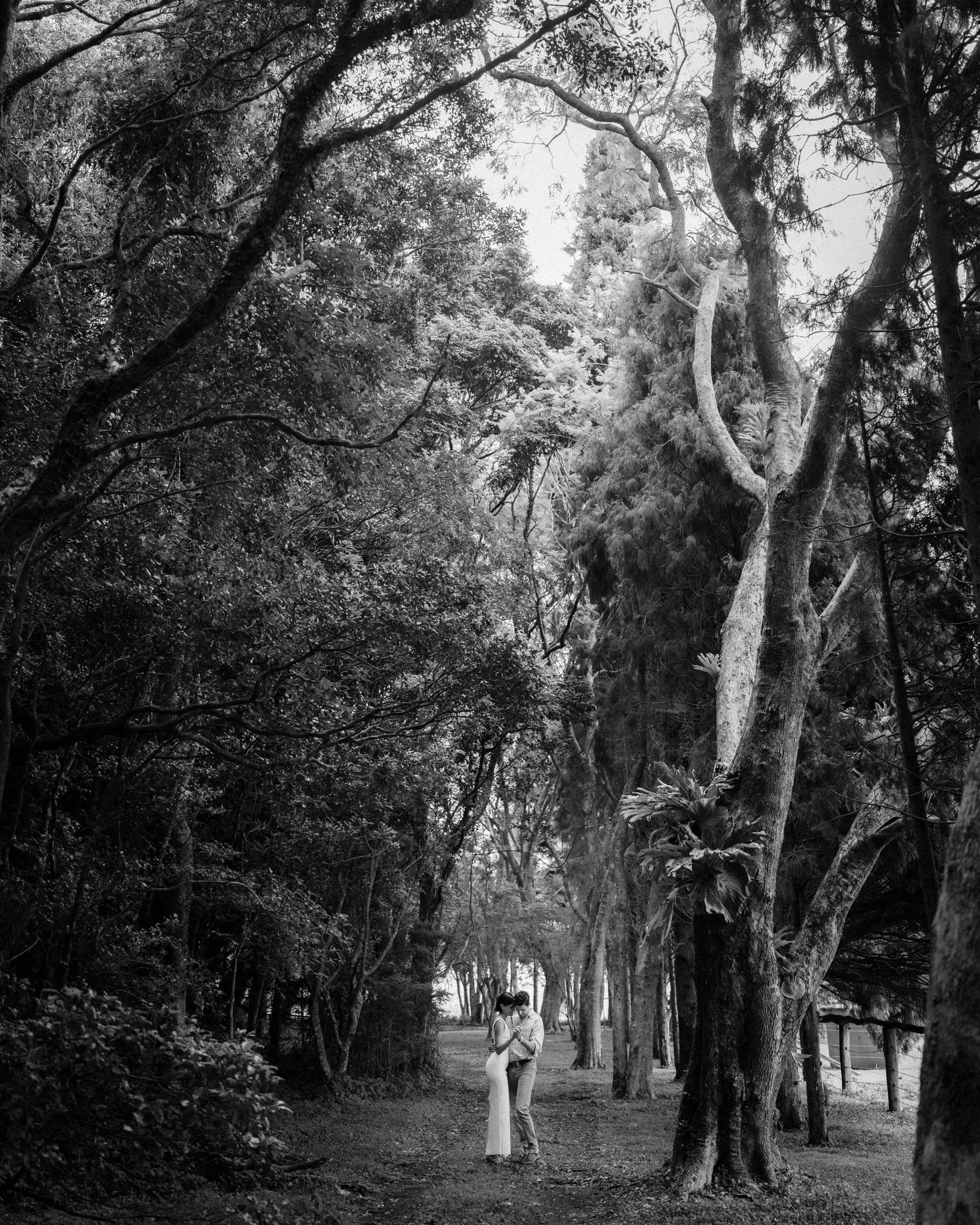 Black and white photograph of a bride alone on a path through tall forest