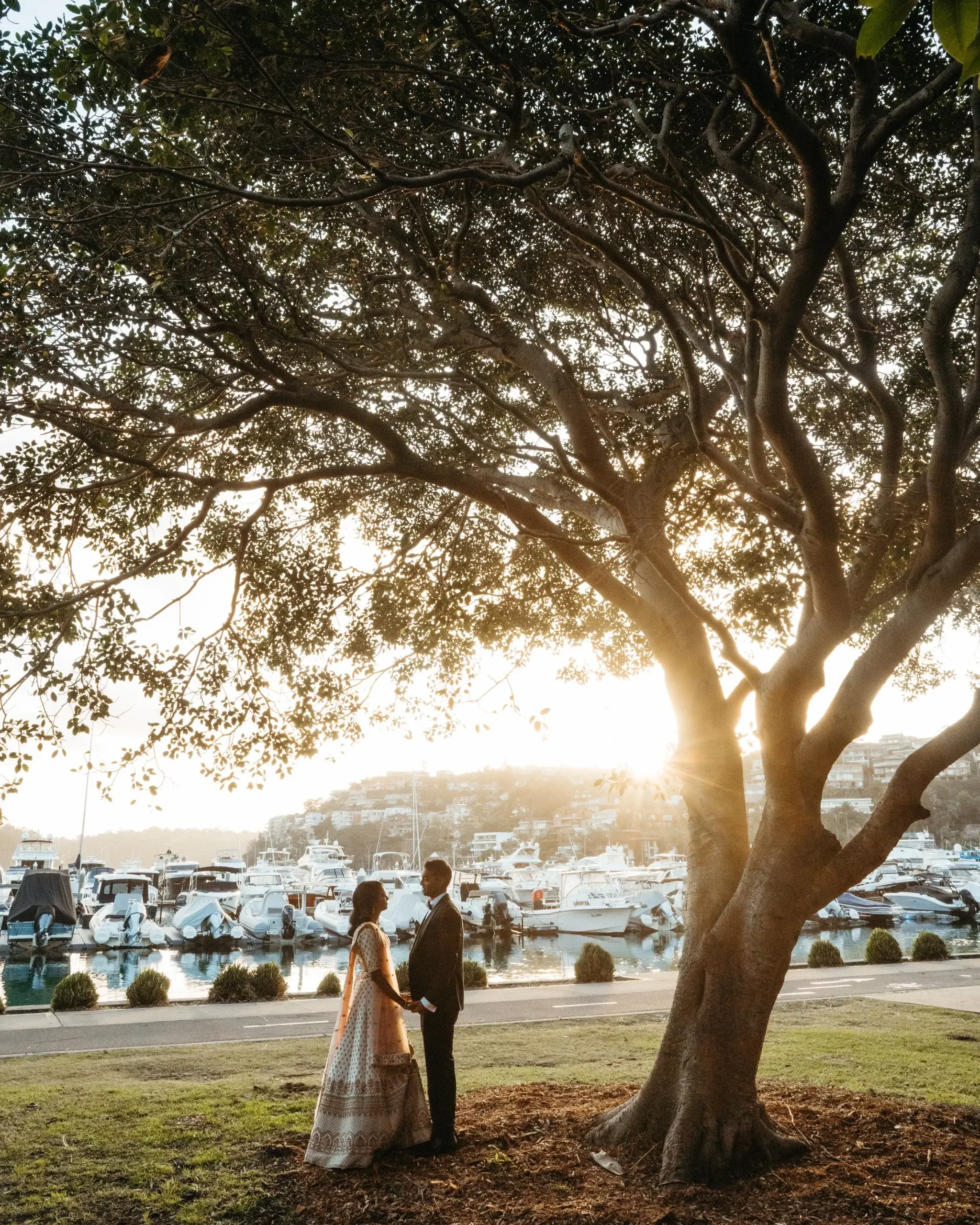 A couple silhouetted under a huge tree at sunset above the harbour
