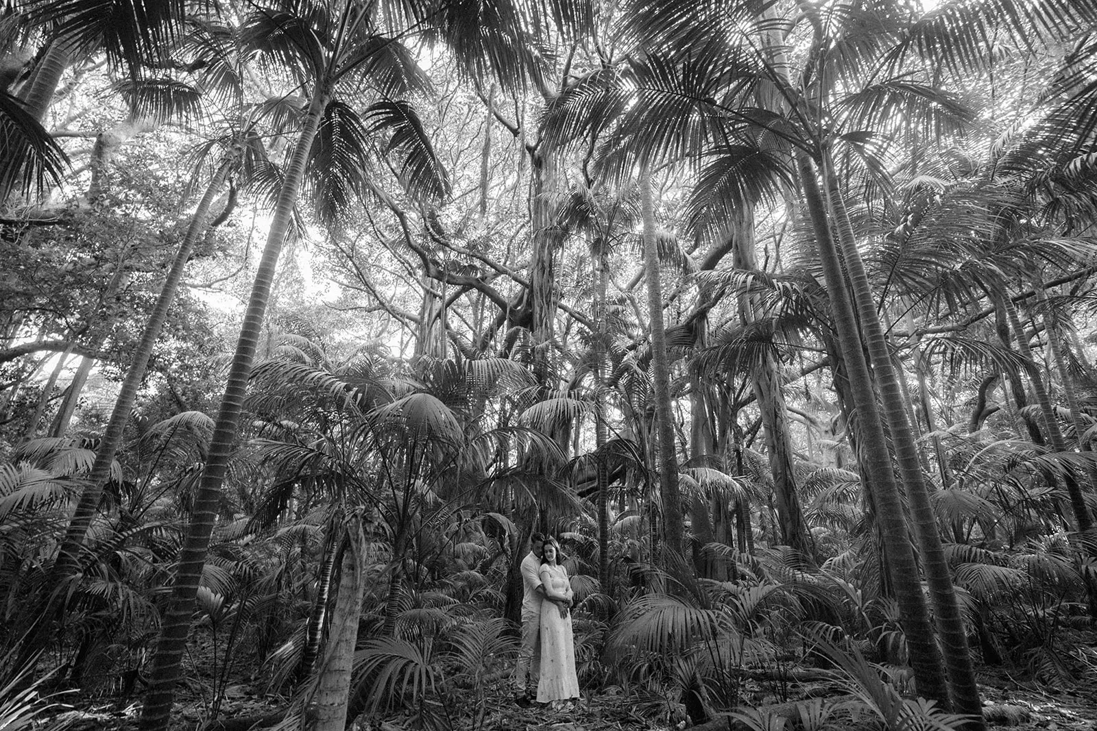 Towering kentia palms above the couple, Lord Howe Island